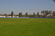 Enlarge photo 142