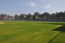 Enlarge photo 144
