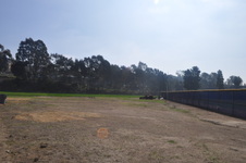 Enlarge photo 151
