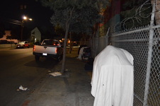 Enlarge photo 14