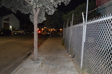 Enlarge photo 15
