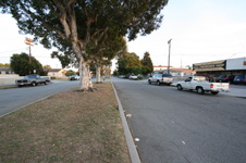 Enlarge photo 22