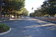 Enlarge photo 18