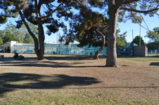 Enlarge photo 13