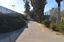 Enlarge photo 16