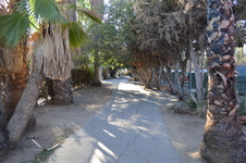 Enlarge photo 22