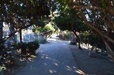 Enlarge photo 30