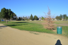 Enlarge photo 45