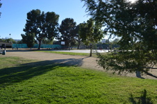 Enlarge photo 48