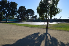 Enlarge photo 49