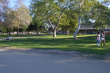 Enlarge photo 59