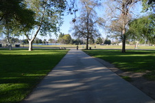 Enlarge photo 67