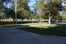Enlarge photo 75