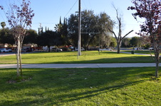 Enlarge photo 77