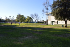 Enlarge photo 79