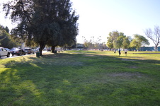 Enlarge photo 80