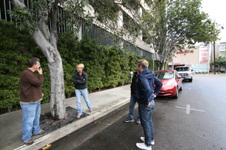 Enlarge photo 63