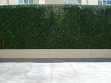 Enlarge photo 121
