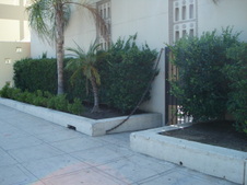 Enlarge photo 152
