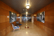 Enlarge photo 60