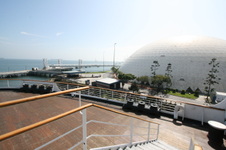 Enlarge photo 142