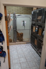 Enlarge photo 38