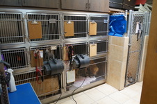 Enlarge photo 39
