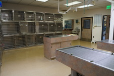 Enlarge photo 20