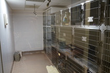 Enlarge photo 27
