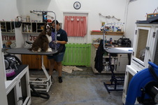 Enlarge photo 28