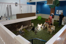 Enlarge photo 34