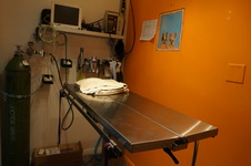 Enlarge photo 41