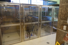 Enlarge photo 43