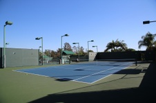 Enlarge photo 105
