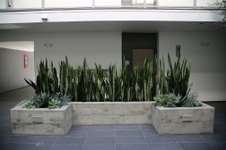 Enlarge photo 41