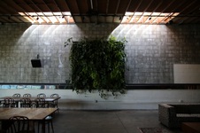 Enlarge photo 24