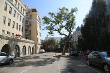 855 Serrano New Pics 10/13