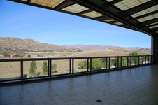 Enlarge photo 87