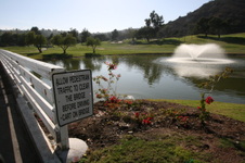 Enlarge photo 47
