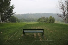 Enlarge photo 113