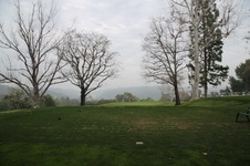 Enlarge photo 115