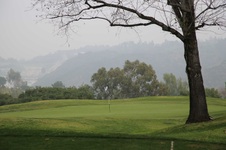 Enlarge photo 119