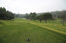 Enlarge photo 124