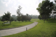 Enlarge photo 133