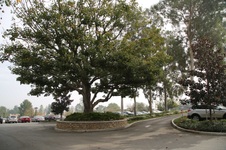 Enlarge photo 162