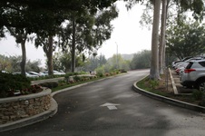 Enlarge photo 163