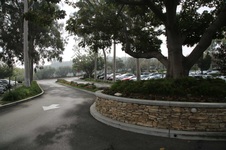 Enlarge photo 73