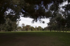 Enlarge photo 12