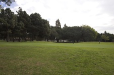 Enlarge photo 22