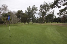 Enlarge photo 37